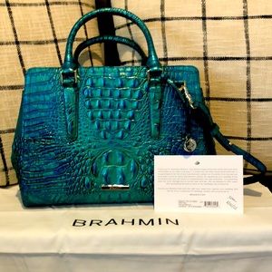 Small Finley in Peacock